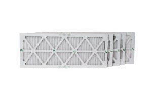 AA1-P36 [ALV03582]
