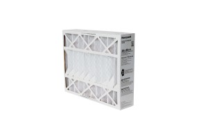 AA4-P73 [ALV03494]