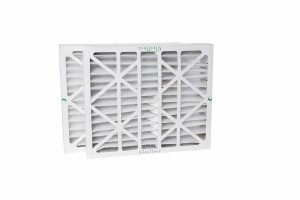 AA1-P669 [ALV03420]