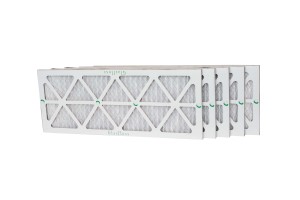 AA1-P36 [ALV03580]